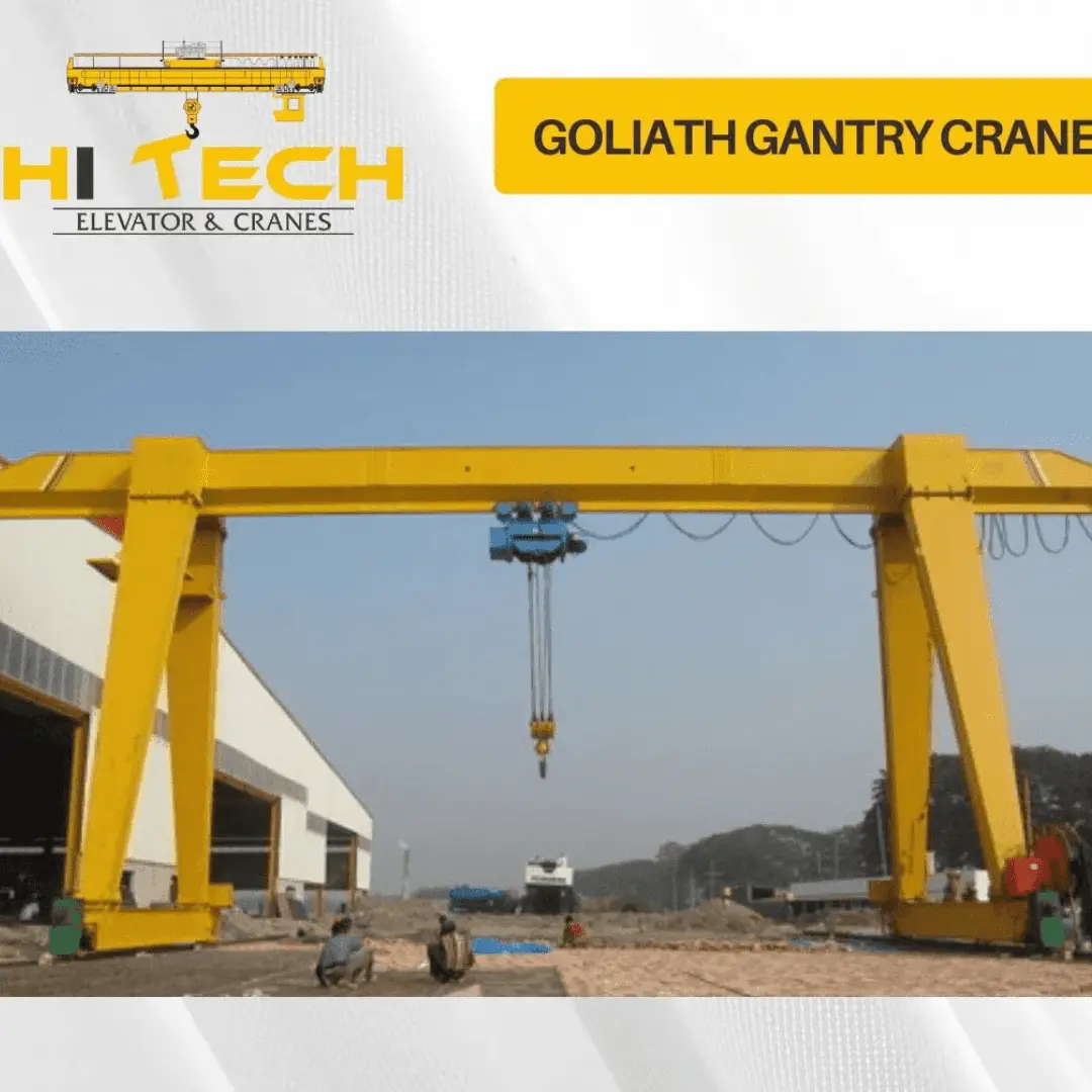 Gantry Goliath Crane Image